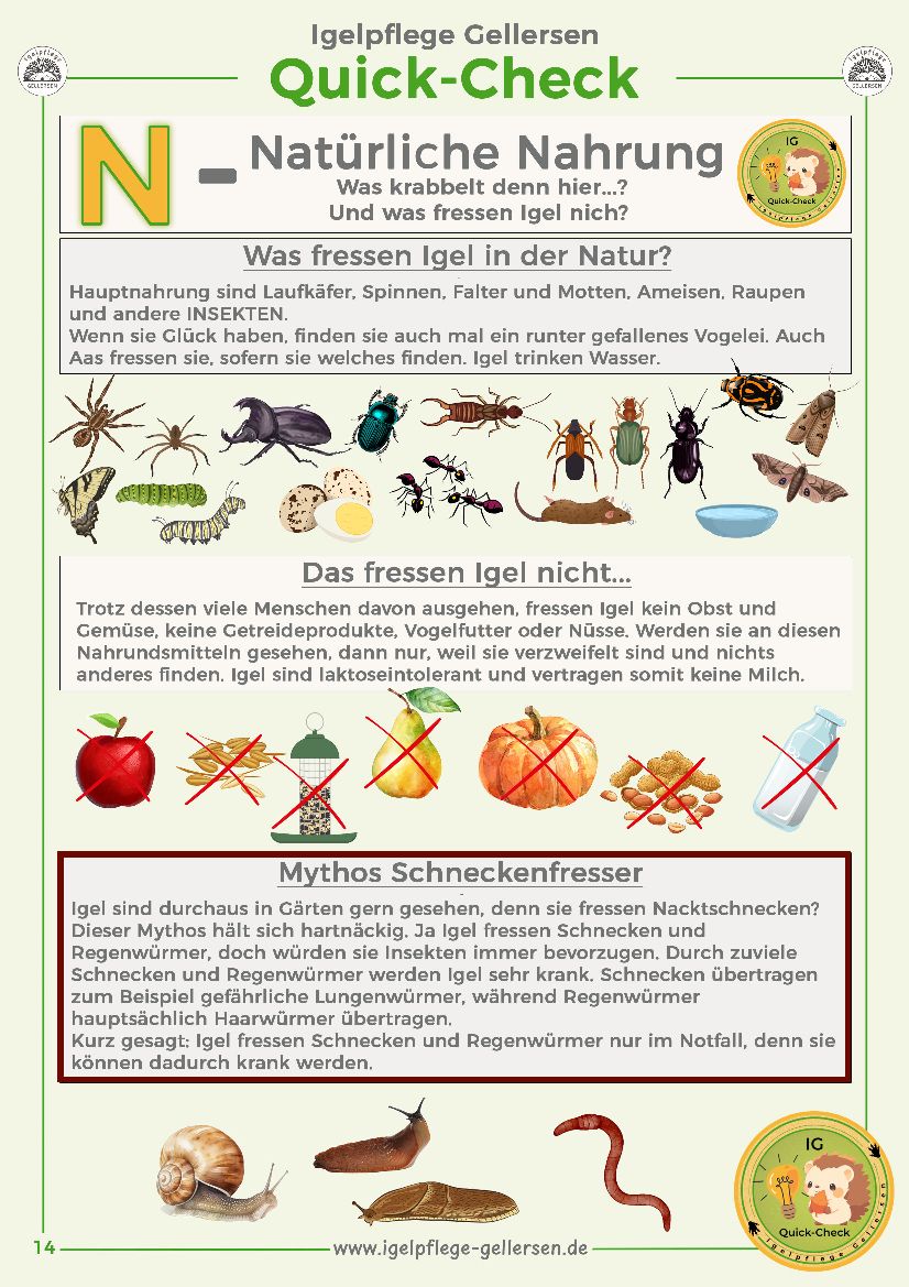 N-Natürliche Nahrung_1